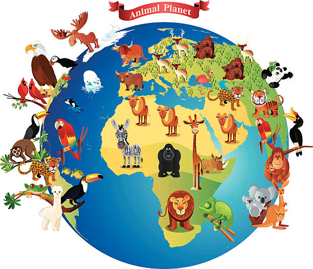 ilustrações, clipart, desenhos animados e ícones de animais planet - gado brasil