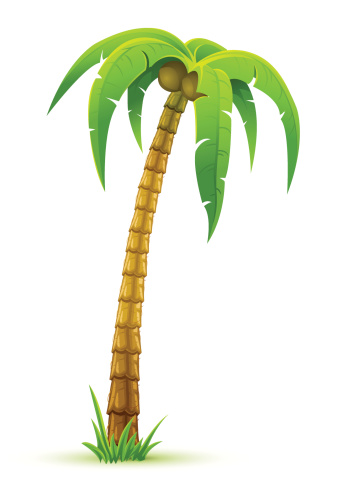 Animated Coconut Palm Tree With Grass At The Base Stock Illustration ...