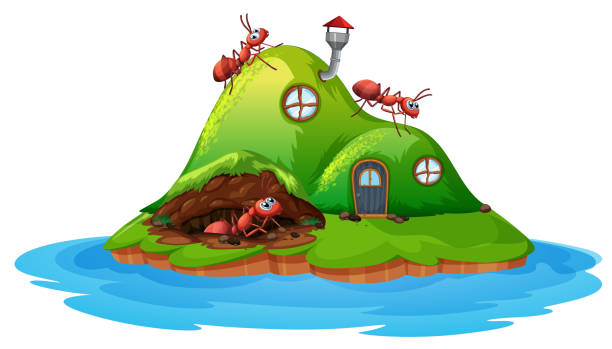 Ant hill house on white background Ant hill house on white background illustration ant clipart pictures stock illustrations