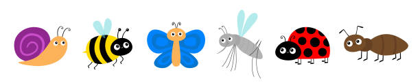 Ant, mosquito, butterfly, snail cochlea, bee bumblebee, lady bug ladybird flying insect icon set. Ladybug. Cute cartoon kawaii funny baby character. Happy Valentines Day. Flat design. White background Ant, mosquito, butterfly, snail cochlea, bee bumblebee, lady bug ladybird insect icon set. Ladybug. Cute cartoon kawaii funny baby character. Happy Valentines Day. Flat design. White background Vector animal antenna stock illustrations