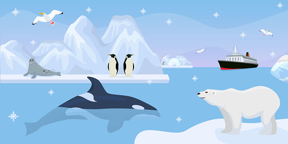 Antarctica beautiful wildlife, vector illustration. Cute penguins, seal on iceberg, whale in blue ocean water. Travel to South Pole, winter landscape
