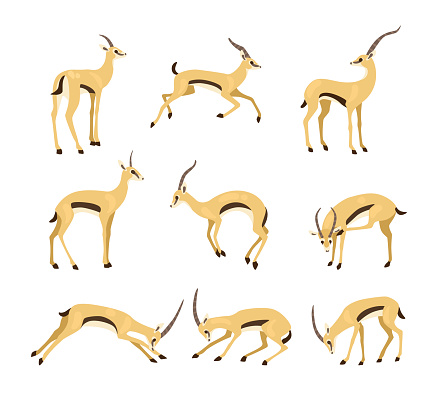 Antelope in different poses cartoon illustration set