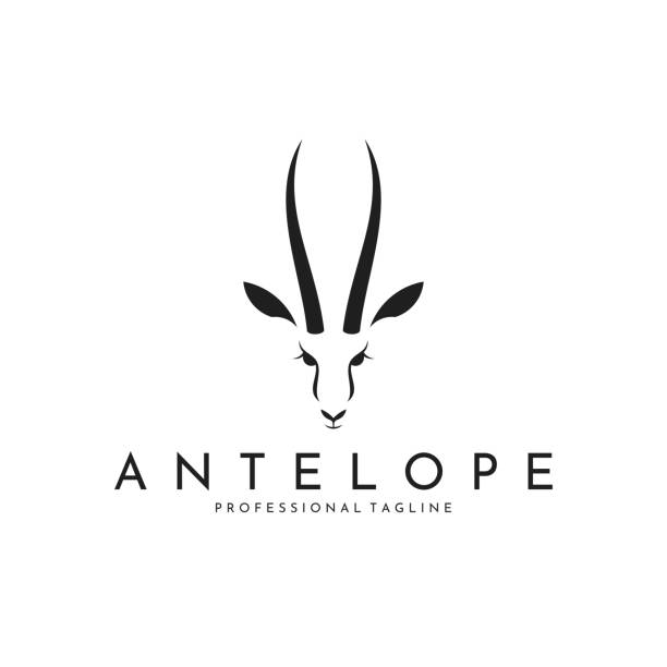 Antelope springbok icon Vector illustration (EPS) antelope stock illustrations