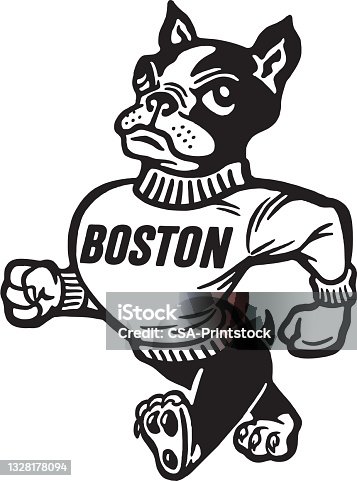 istock Anthropomorphic dog mascot with Boston on sweater 1328178094