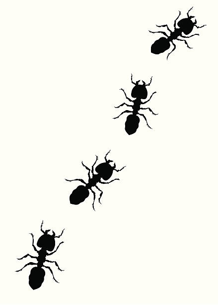 Royalty Free Ant Clip Art, Vector Images & Illustrations - iStock