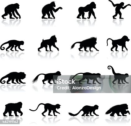 istock Ape and Monkey Silhouettes 482191162