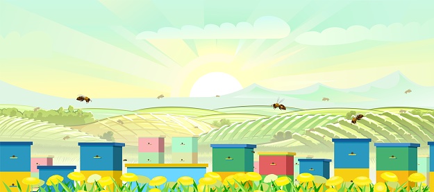 Apiary. Rural farm landscape with bee hive in a summer meadow. Blooming yellow dandelions. Pollination of vegetable gardens. Beekeeper illustration with beehive. Vector