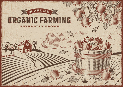 Vintage organic farming label on apple harvest landscape. Editable EPS10 vector illustration in woodcut style with clipping mask.