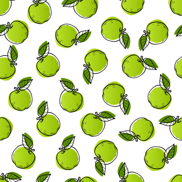 illustrations, cliparts, dessins animés et icônes de modélisme transparente apple - pomme
