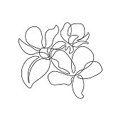 Spring apple tree blossom in continuous line art drawing style. Group of flowers with leaf black linear sketch isolated on white background. Vector illustration