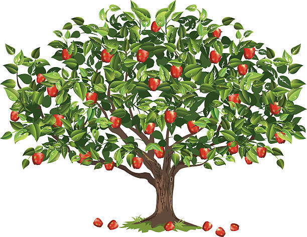 Vruchten die aan bomen groeien clipart