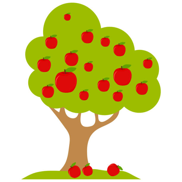 リンゴの木。白い背景に分離赤いリンゴと緑の木。ベクトル、漫画のイラスト。ベクトル。 - リンゴの木点のイラスト素材／クリップアート素材／マンガ素材／アイコン素材