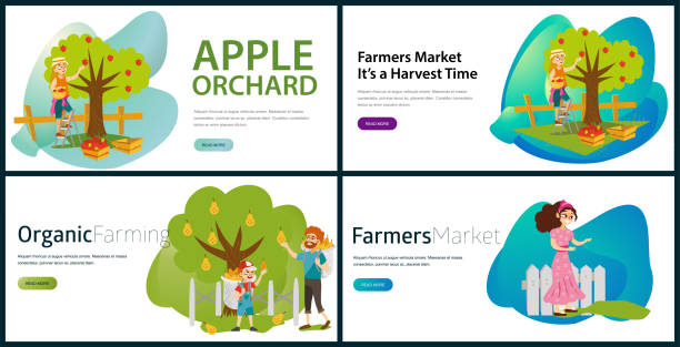ilustrações de stock, clip art, desenhos animados e ícones de apples pears plums picking flat set - technology picking agriculture