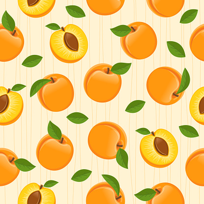 Apricot vector seamless pattern.
