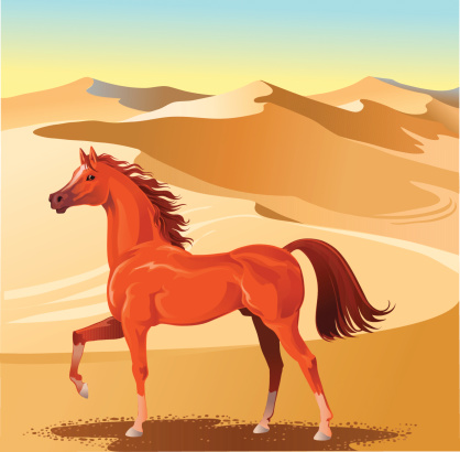 Arabian Stallion and Sand Dunes