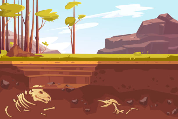 Archaeological excavations in natural landscape Archaeological excavations, cartoon vector illustration. Natural landscape with trees, mountains, green grass and dug pit. Underground soil with fossils, dinosaur skeleton in them, cross section archaeology stock illustrations