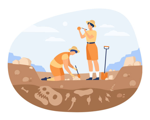 Archaeologist discovering dinosaurs remains Archaeologist discovering dinosaurs remains. Men digging ground in quarry and cleaning bones. Vector illustration for archeology, paleontology, science, research concept archaeology stock illustrations