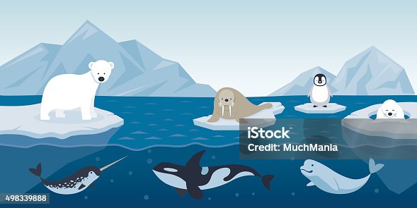 istock Arctic Animals Character and Background 498339888
