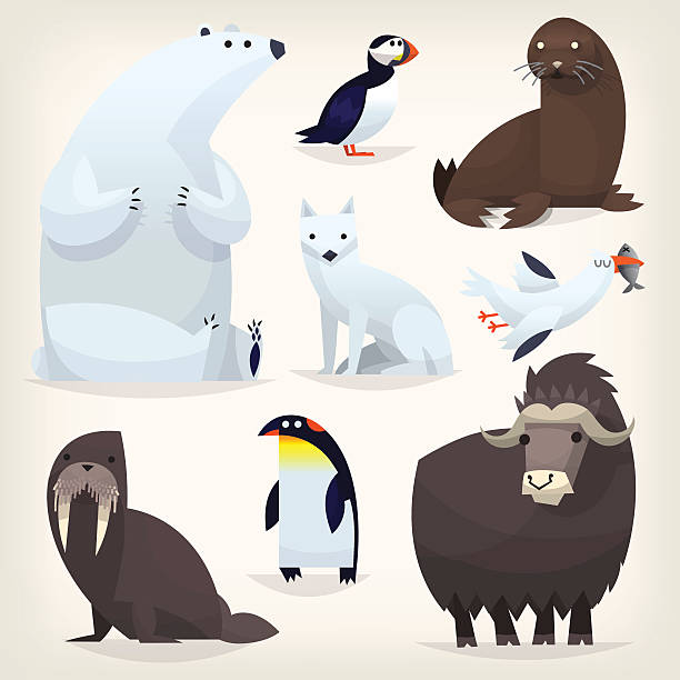 Arctic animals Colorful cartoon arctic animals from polar region and Arctic Circle arctic stock illustrations