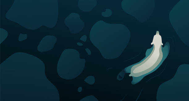 stockillustraties, clipart, cartoons en iconen met de noordpoolbeer die in de blauwe oceaan dichtbij gesmolten ijs zwemt. horizontale achtergrond met witte ijsbeer voor affiche, banner of webontwerp. - vectorillustratie - ice swimming