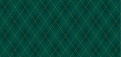 istock Argyle vector pattern. Dark green with thin slim golden dotted line. Xmas pattern 1067593330