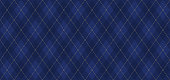 istock Argyle vector pattern. Navy blue with thin golden dotted line. 1032728712