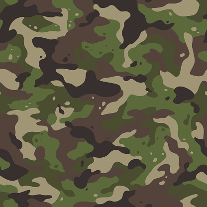army camouflage