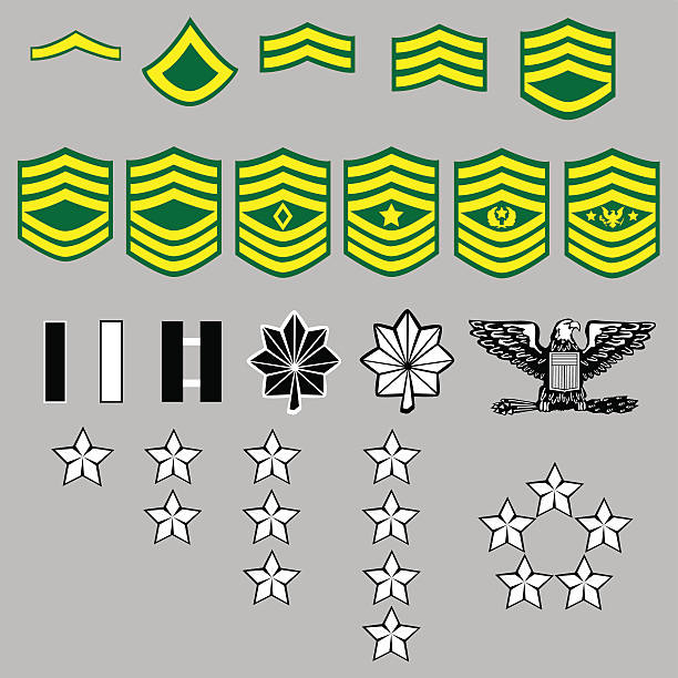 ilustraciones, imágenes clip art, dibujos animados e iconos de stock de us army rango insignias - peloton