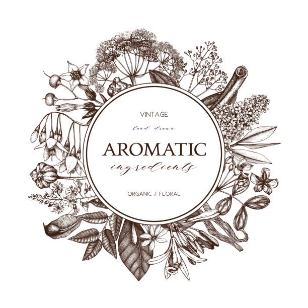 stockillustraties, clipart, cartoons en iconen met aromatic_card_3 - essential oils smell