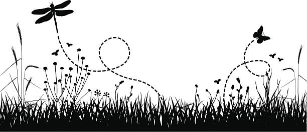 Art design of meadow with butterflies detailed tracings of some flora and fauna discovered behind my apartment. 5400x2400 JPG bee silhouettes stock illustrations