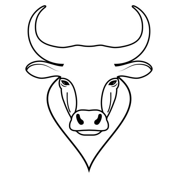 Art drawing buffalo cow ox bull head logo design. Simple linear figure of animals face, symbol of 2021. Black and white isolated sign. Art drawing buffalo cow ox bull head logo design. Simple linear figure of animals face, symbol of 2021. Black and white isolated sign. Vector illustration drawing of the bull head tattoo designs stock illustrations