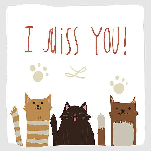 Сartoon flat I Miss You postcard with funny cats. vector art illustration