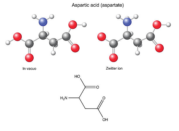 Aspartic acid (Asp) - chemical structural formula and models vector art illustration