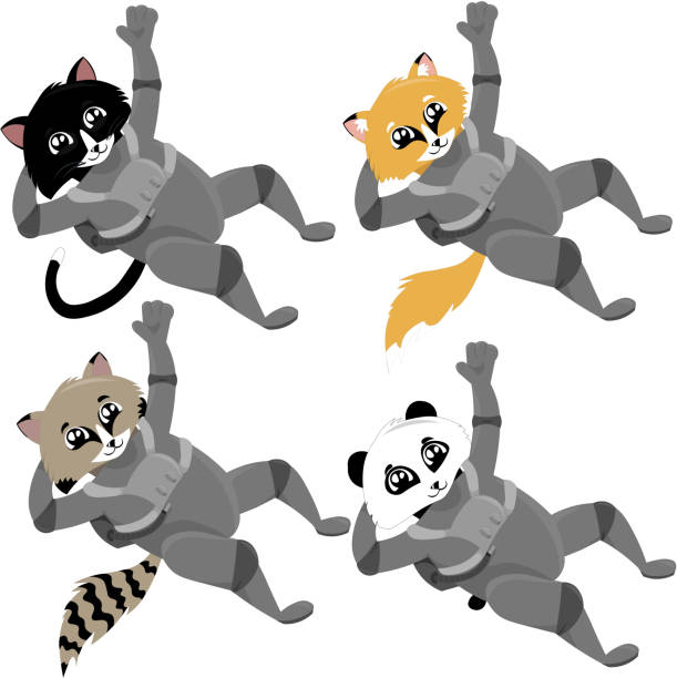 illustrations, cliparts, dessins animés et icônes de astronautes: chat, renard, raton laveur, panda. - panda foot