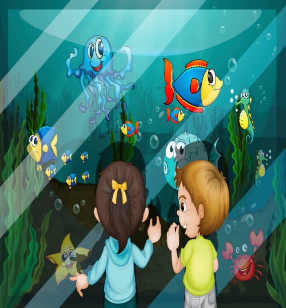 stockillustraties, clipart, cartoons en iconen met at the aquarium - zoetwaterkwal