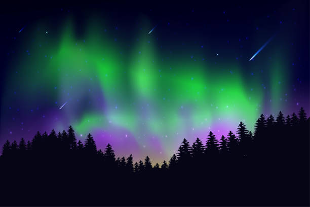 하늘의 별과 밤에 하늘에서 일어난 오로라 - 북극광 일러스트 stock illustrations