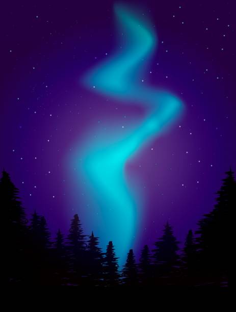 Aurora Night landscape Illustration. boreal forest stock illustrations