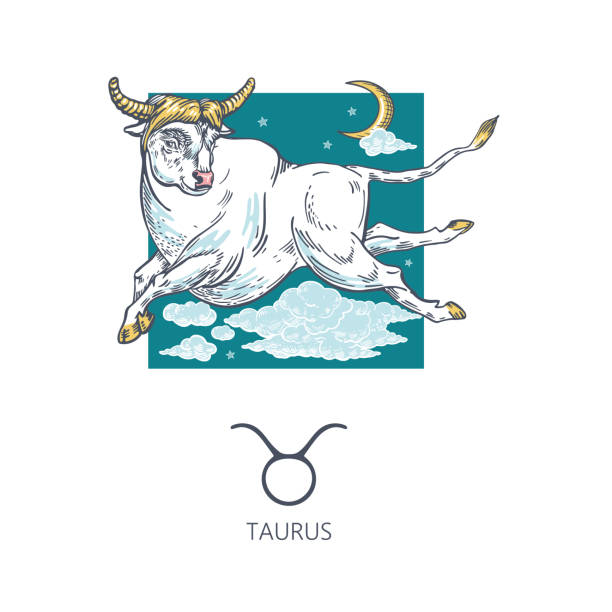 aurus zodiac sign. The bull flies in the clouds. Astrology. Taurus zodiac sign. The bull flies in the clouds. Astrology. Graphics. Freehand drawing. taurus constellation stock illustrations