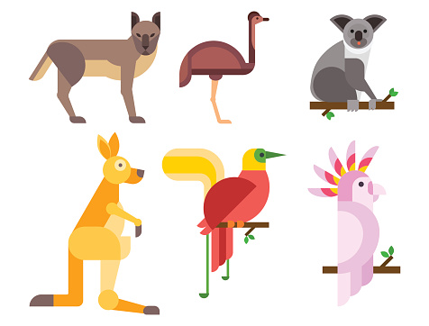 Australia wild animals cartoon popular nature characters flat style and australian mammal aussie native forest collection vector illustration