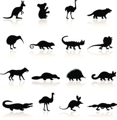 Australian Animal Icon Set