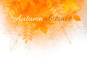 abstract autumn paint leaves border background template