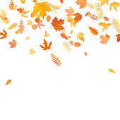 Autumn background with golden maple, oak and others leaves. EPS 10 vector file