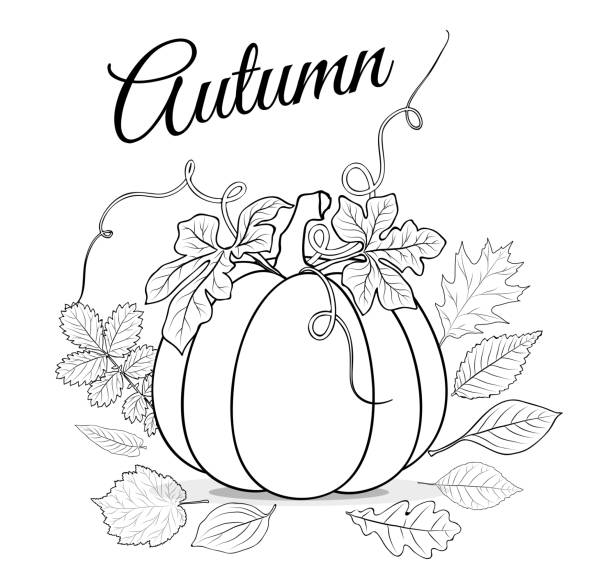 Autumn background with pumpkin and leaves for coloring book vect vector art illustration