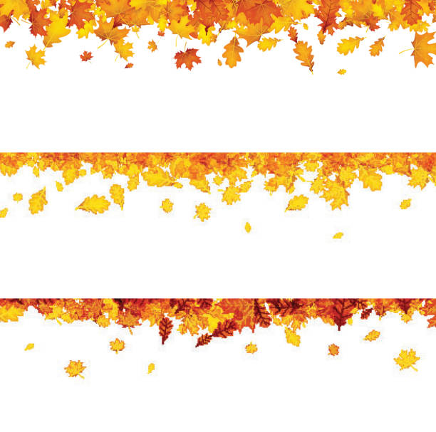 Royalty Free Set Of Colorful Autumn Leaves Banner Or Web ...