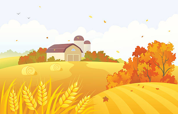 Autumn barn vector art illustration