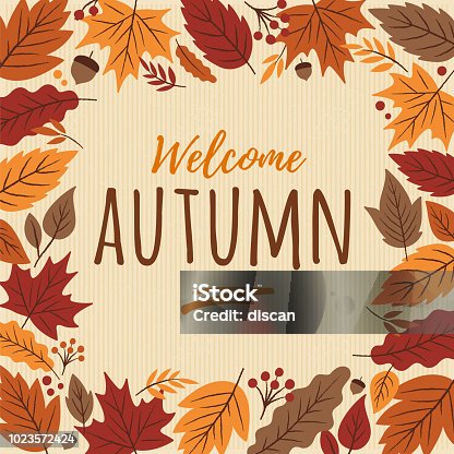 istock Autumn card with leaves frame. 1023572424