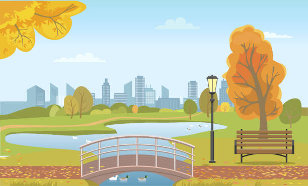 Autumn City Park with Pond and Ducks under Bridge Autumn city park with pond and ducks under bridge, wooden bench, fall leaves on trees. Seasonal landscape, skyscrapers at horizon vector illustration. duck pond stock illustrations