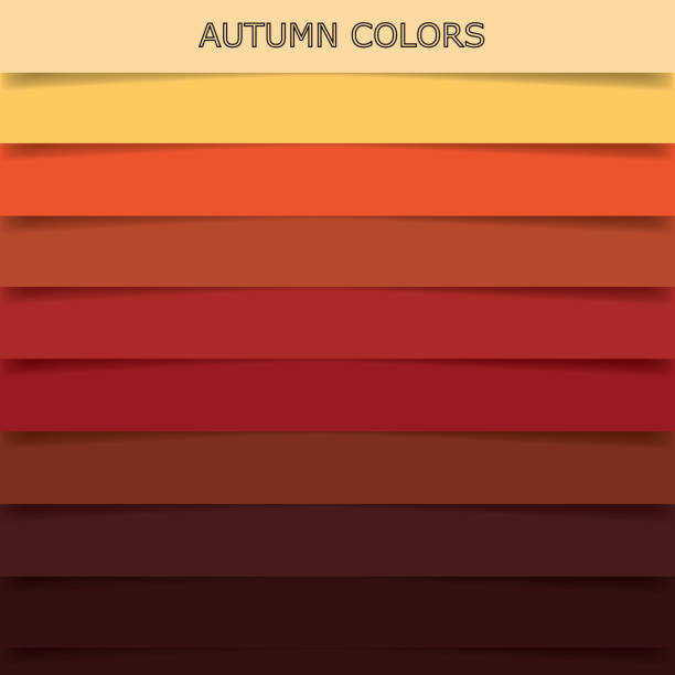 autumn color vector art illustration
