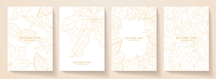 Autumn cover, frame design set. Decorative vector template with leaf fall (orange leaves of maple, oak) on white background