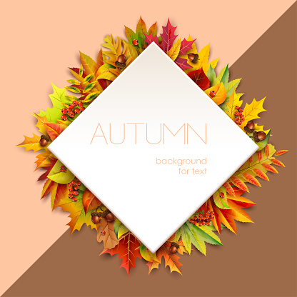 Autumn diamond-shaped frame for text decorated with foliage